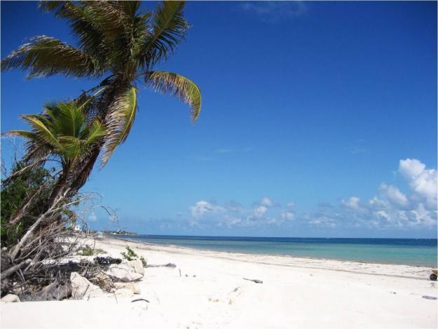 Beach Front House At Puerto Morelos Βίλα Εξωτερικό φωτογραφία