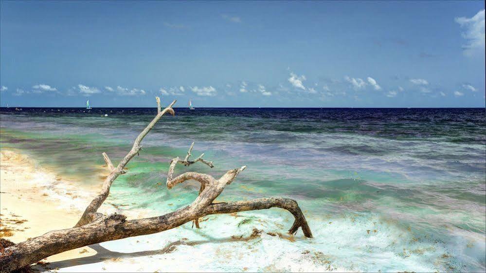 Beach Front House At Puerto Morelos Βίλα Εξωτερικό φωτογραφία